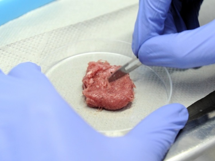 Do 2040r mięso z laboratoriów może stanowić już 35% rynku mięsa